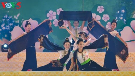Vietnam’s northwestern culture converges at Dien Bien Ban Flower Festival  - ảnh 1